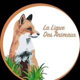 Telegram profile photo for La Ligue Des Animaux
