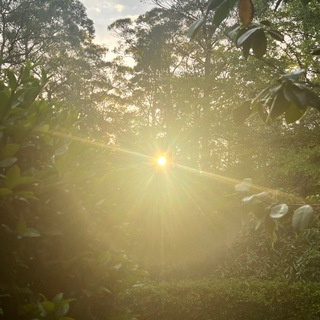 Telegram profile photo for New Earth Awakening