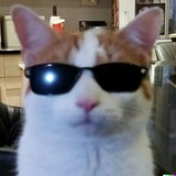Telegram profile photo for суперсаша сделал