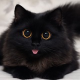 Telegram profile photo for ˹ 🝐꯭ Mʀ. 𝐋ᴇᴠɪ ˼