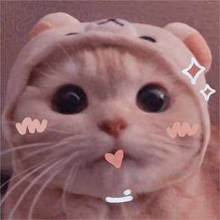 Telegram profile photo for Array Cyber 🪬