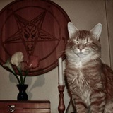 Telegram profile photo for ̶б̶о̶л̶ь̶н̶ы̶е̶ записи катяры