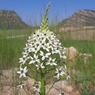 Telegram profile photo for روستای خسرواباد
