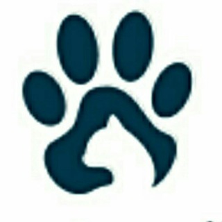 Telegram profile photo for Воспитанный пес🐾