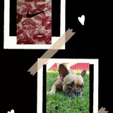 Telegram profile photo for Конкурсы. Подарки. Лоты 🤍