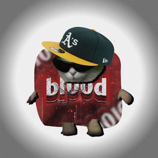 Telegram profile photo for bl00d • StandKnife