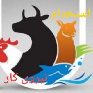 Telegram profile photo for نیروی کار دامداری و مرغداری و پرورش آبزیان