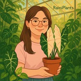 Telegram profile photo for Raini plants 🌿