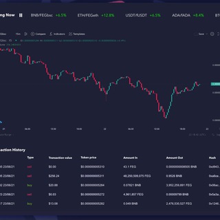 Telegram profile photo for FEG Charting