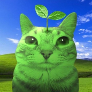 Telegram profile photo for Fotosintesis.