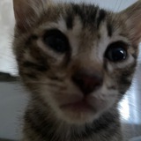 Telegram profile photo for Инфо прайс