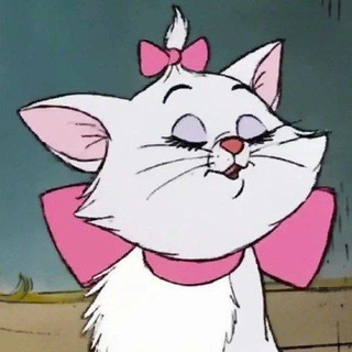 Telegram profile photo for sheyda vibe