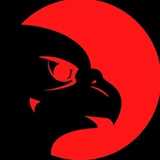Telegram profile photo for Crypto Eagle