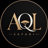 Telegram profile photo for Aql safari