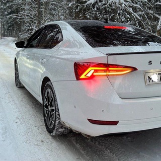 Telegram profile photo for Skoda Octavia A8 Октавия