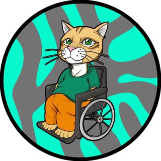 Telegram profile photo for Wheelchair Cat | Portal
