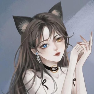 Telegram profile photo for 阿白的后花园