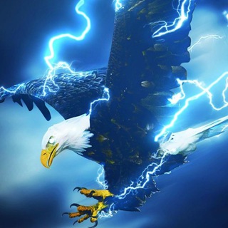 Telegram profile photo for Braving The Storm