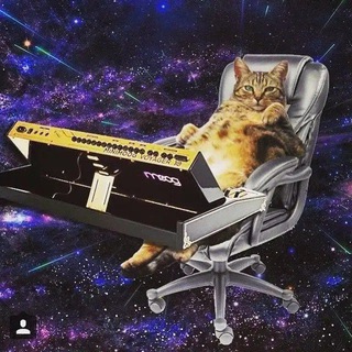 Telegram profile photo for 🐾WORKCAT | Заработок в сети🐾