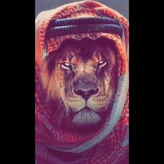 Telegram profile photo for شيخ العرب 🇮🇶🦅