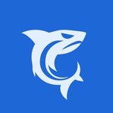 Telegram profile photo for SHARK | Продвижение онлайн