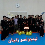 Telegram profile photo for نینجوتسو زنجان