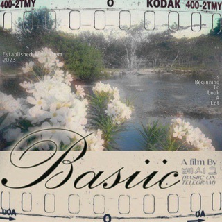 Telegram profile photo for BASIIC