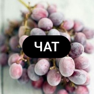 Telegram group profile photo for Чат Veganstvo syroedenie