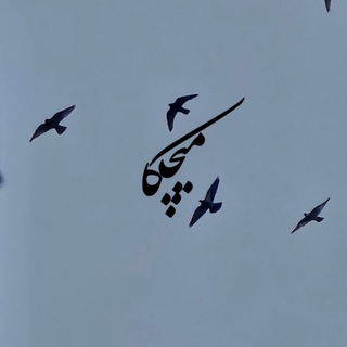 Telegram profile photo for میچکآ