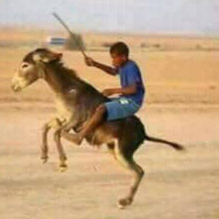 Telegram profile photo for ضحايا الوجود