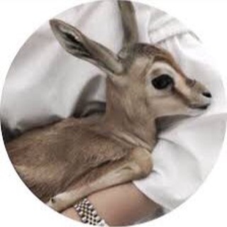 Telegram profile photo for : خليفيَ ❊