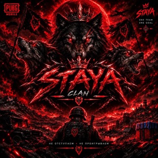 Telegram profile photo for STAYA