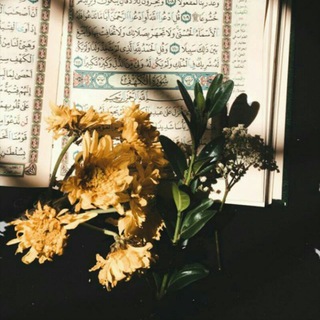 Telegram profile photo for سنرحل ويبقي الأثر🍃.