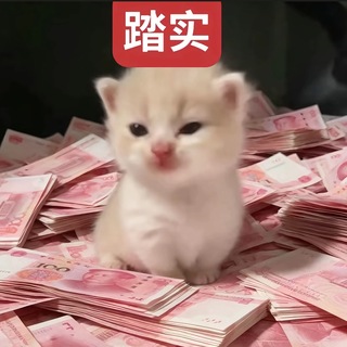 Telegram profile photo for 小猫的聊天群