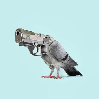 Telegram profile photo for Meme and pictures