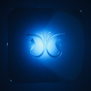 Telegram profile photo for lkpckfolio