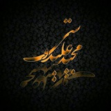Telegram profile photo for 🆗 Majid Alidousti 🎤🎻