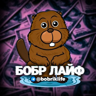 Telegram profile photo for 𝗯𝗼𝗯𝗿 𝗹𝗶𝗳𝗲