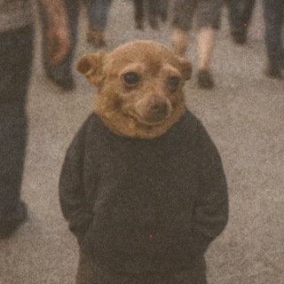 Telegram profile photo for LIRTH