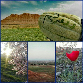 Telegram profile photo for کانال "سـرچم"