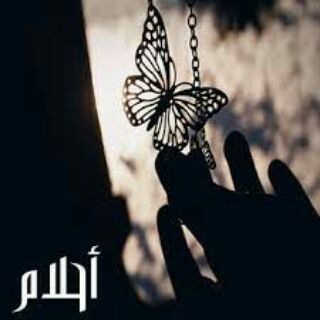 Telegram profile photo for أحلام برئيه