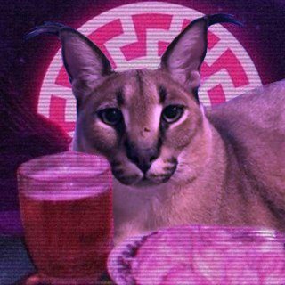 Telegram profile photo for Разоблачение дизайнера / ДИЗАЙНЕР В ТУПИЧКЕ