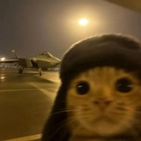 Telegram profile photo for FLB's Alpha Den