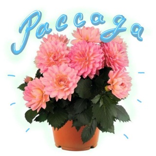 Telegram profile photo for Во саду ли, в огороде