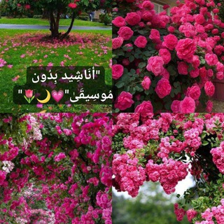 Telegram profile photo for انـاشـيد بـدون مـوسـيقـۍ"💖