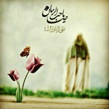 Telegram profile photo for مکتب المهدی (عج) _ خادم کربلایی شاهی