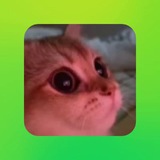 Telegram profile photo for ๐ฐ๐ฑ๐พ๐๐ ๐๐พ๐ฒ๐บ๐