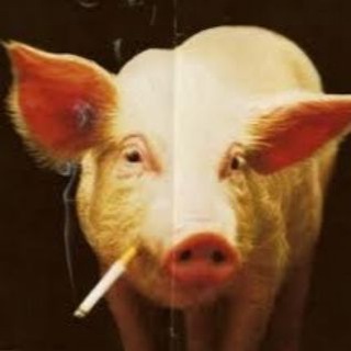 Telegram profile photo for ванючие пятки