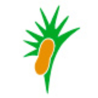 Telegram profile photo for Ceesg #EducaciónSocial