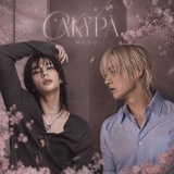 Telegram profile photo for sakura guide.